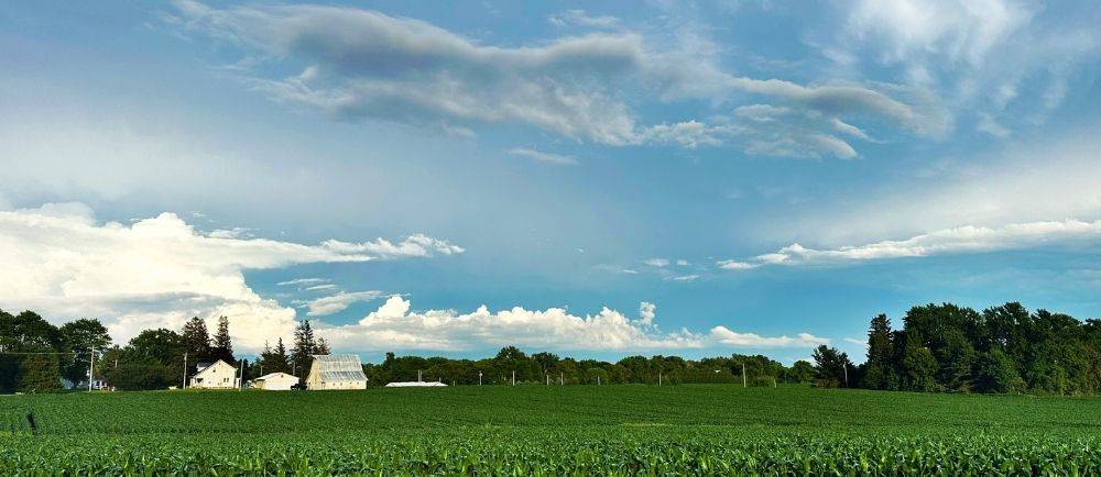 a field in Iowa