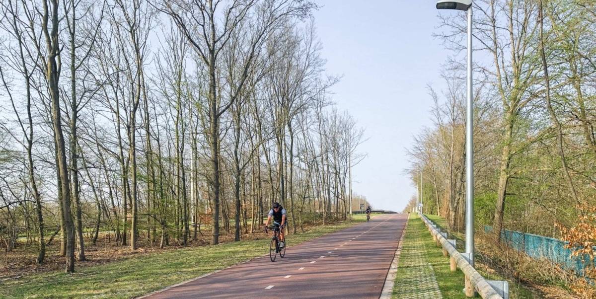 Cycliste sur l'autoroute cyclable F1 entre Anvers et Malines, piste rouge bordée d'arbres et de lampadaires