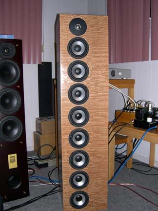 Bottlehead Straight 8 with lacewood veneer