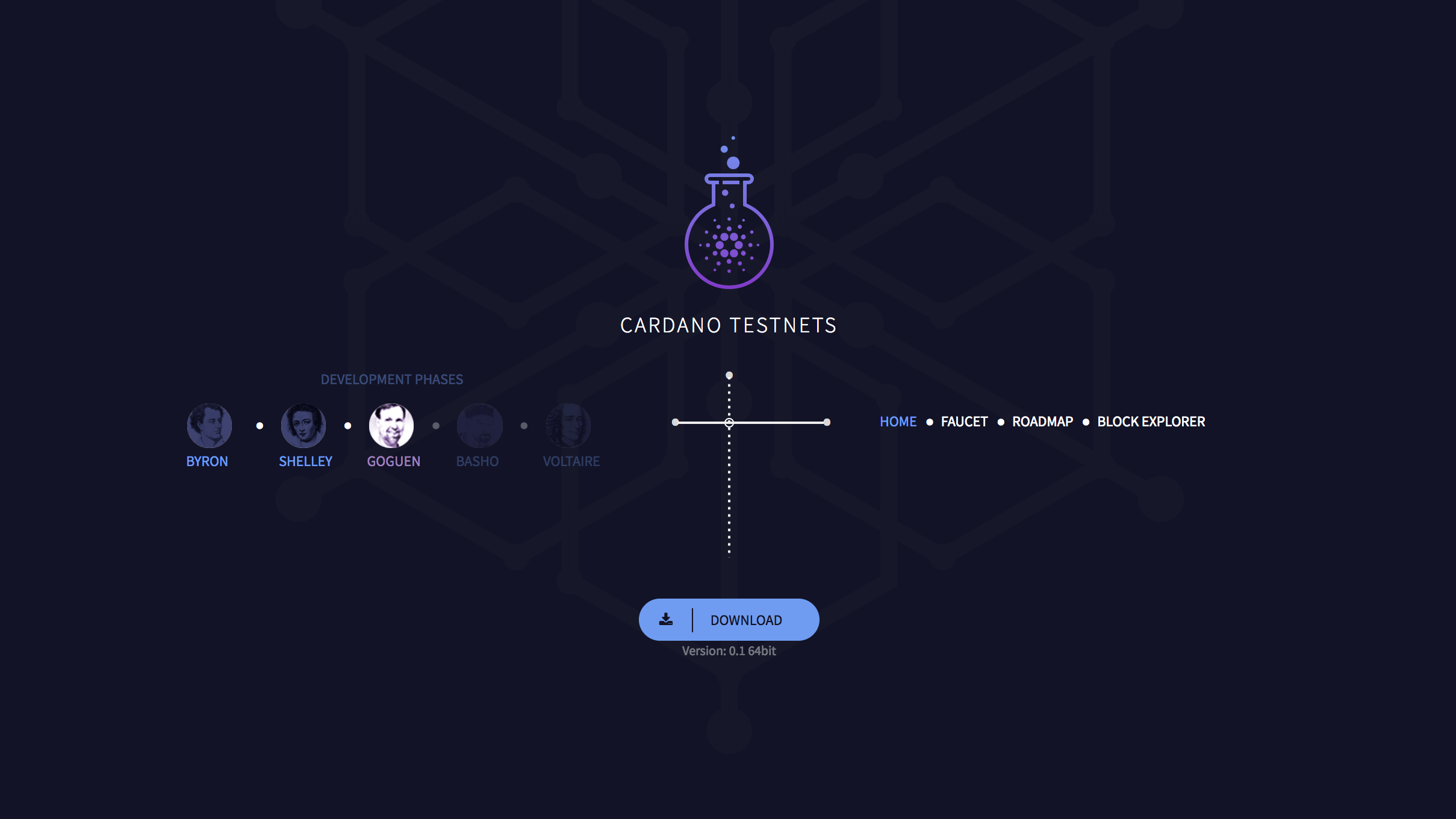 Cardano Testnets Website