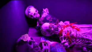 room escape gallery skelette dekoration