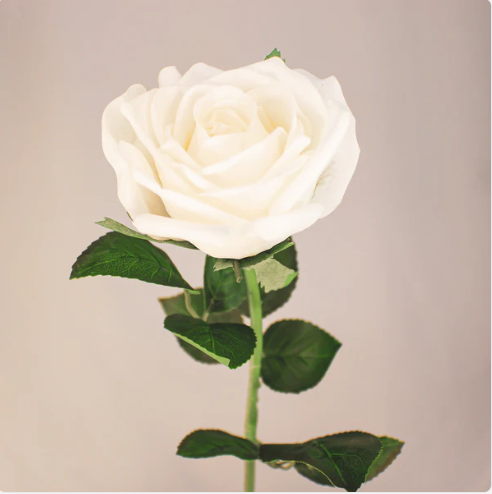 White Large Real Touch Rose - Realistic Artificial Flowers - Image 3