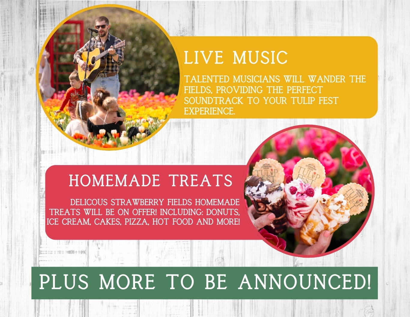 Experience Tulip Fest 2026 - the South West’s original and largest tulip festival. Explore over 500,000 blooms, 60 vibrant varieties, stunning photo spots, family-friendly entertainment, and a touch of Holland in the heart of Devon. Don’t miss this spectacular spring event!