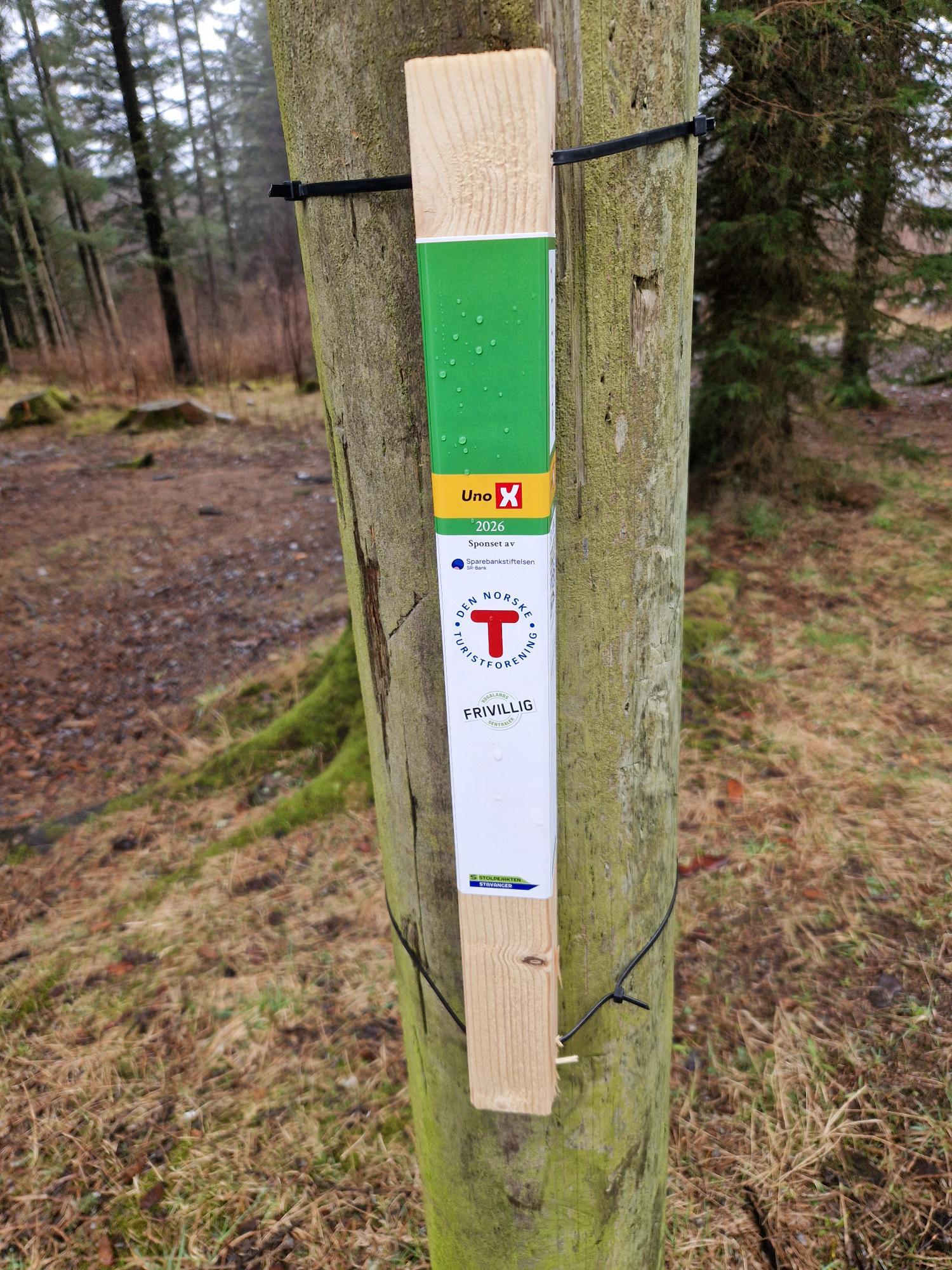 Denne er i Trollskogen på Hundvåg et sted