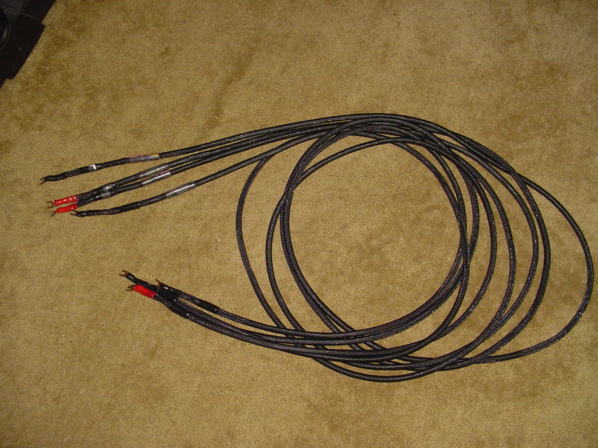 Mosaic Acoustics Cassis XI speaker cables 10 foot pair and bonus pair