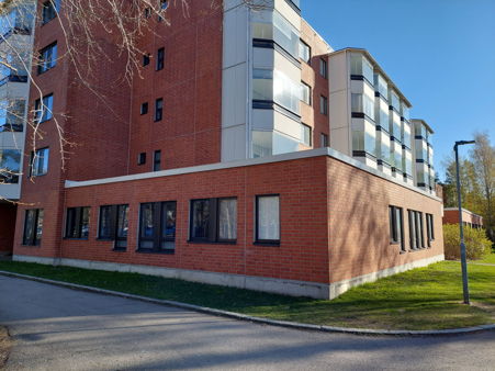 profile-2