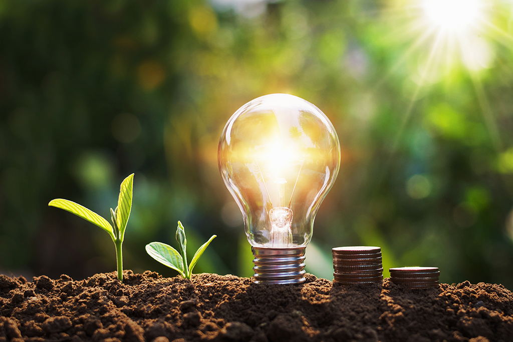 ampoule dans le sol brillant avec des pièces de monnaie et des plantes
