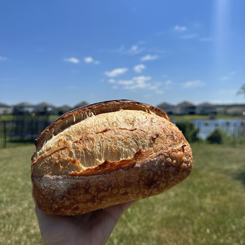 Shelby | The Loaf Shack | Sourdough Microbakery — photo from hotplate.com