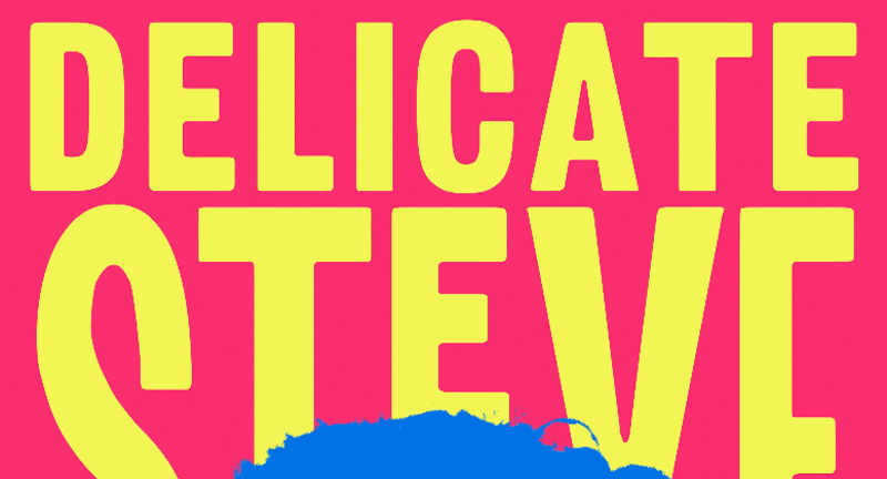 Delicate Steve