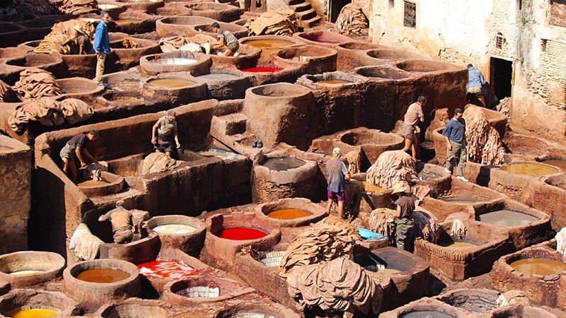 Fez Tanneries, Morocco 