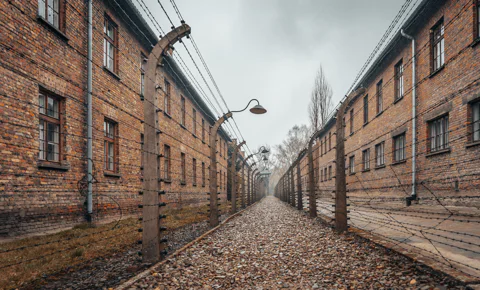 Auschwitz-Birkenau Guided Tour & Transfer from Krakow