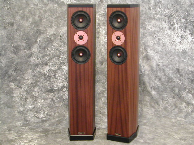 Tyler Acoustics D3's in ribbon mahogany! weekend special!
