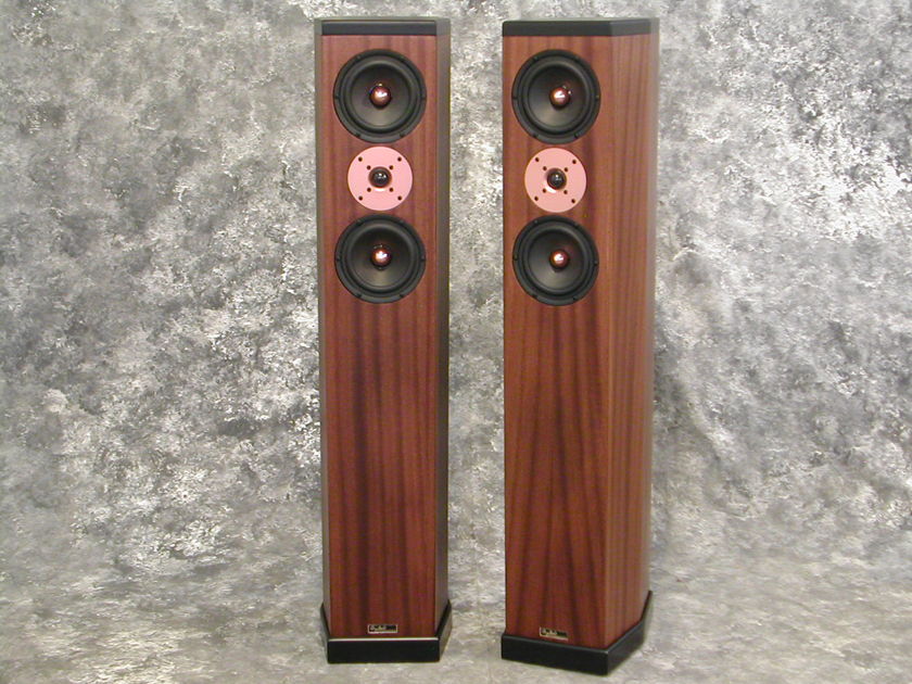 Tyler Acoustics D3's in ribbon mahogany! weekend special!