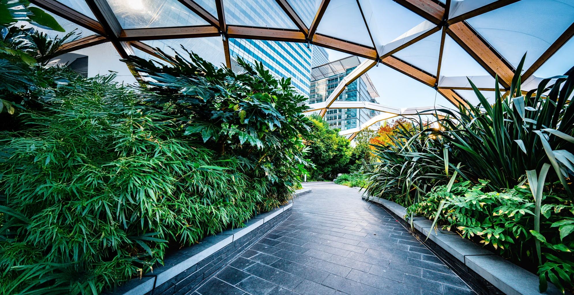 Commercial Landscaping Services