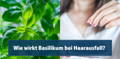 basilikum gegen haarausfall