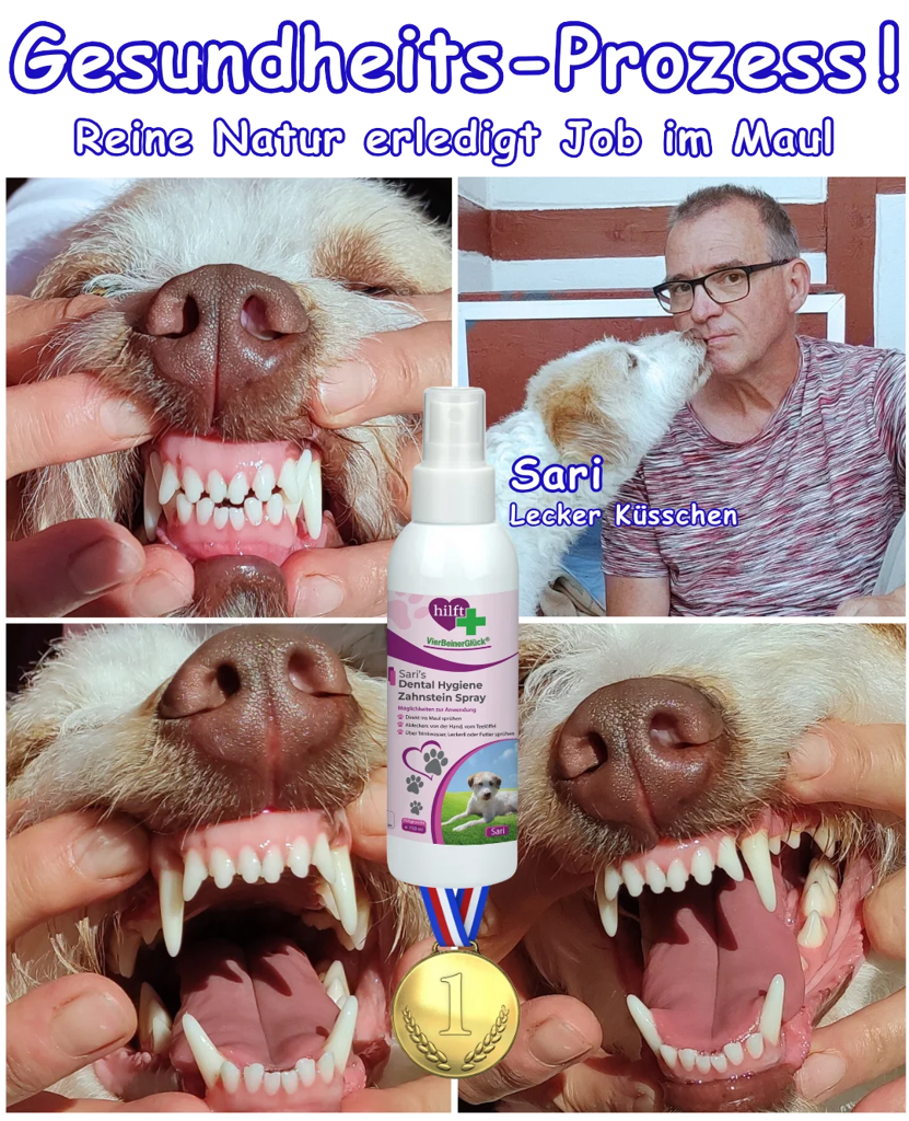 Sari verwendet jeden Tag Zahnstein-Dental Spray und zeigt auf dem Foto ihre strahlend weißen Zähne. Sari darf Hermann mit einem "Leckerli-Küsschen" ein Leckerli aus dem Mund holen.