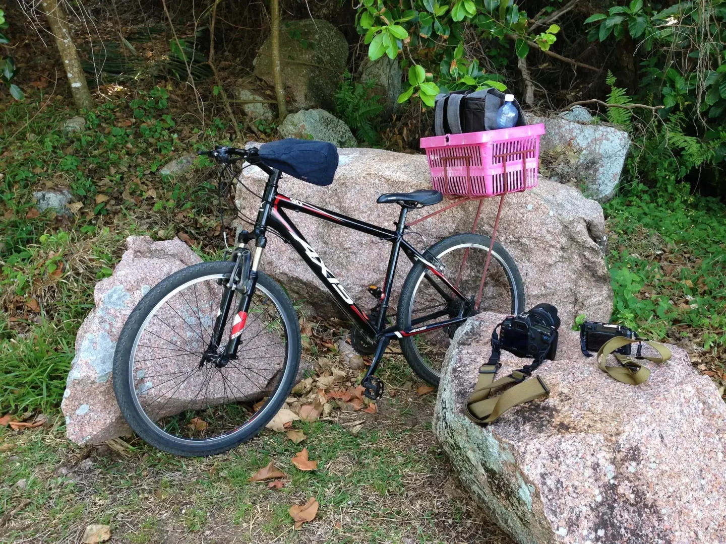 Cycling Through Paradise: La Digue in One Day