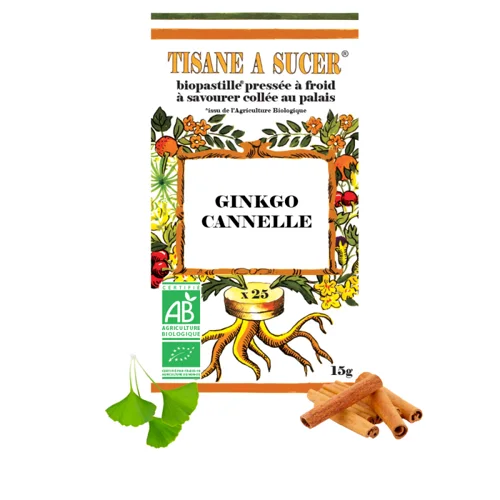 Ginkgo & Zimt Bio-Pastillen