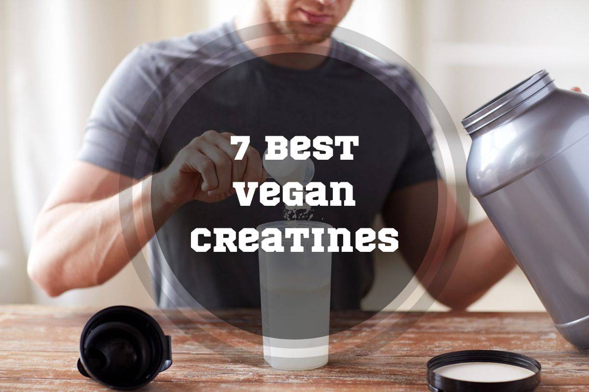 Best Vegan Creatine Best Vegan Creatine