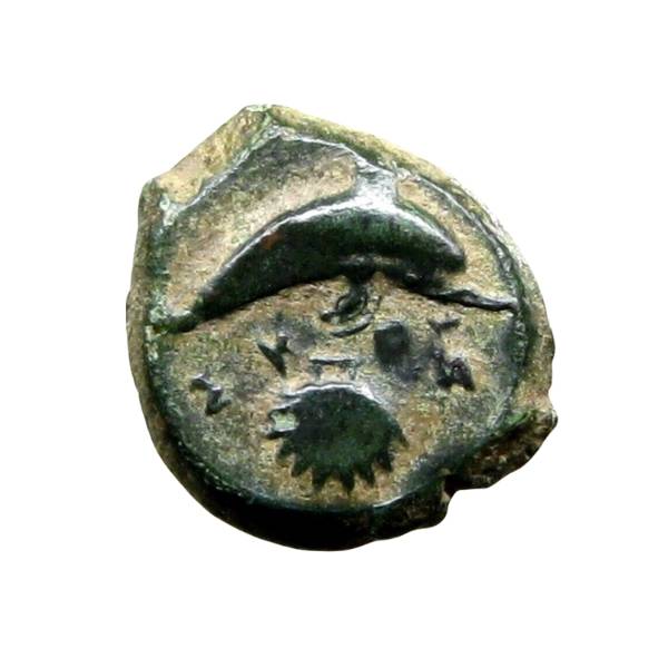 Ancient Greek bronze coin of a dolphin and a scallop