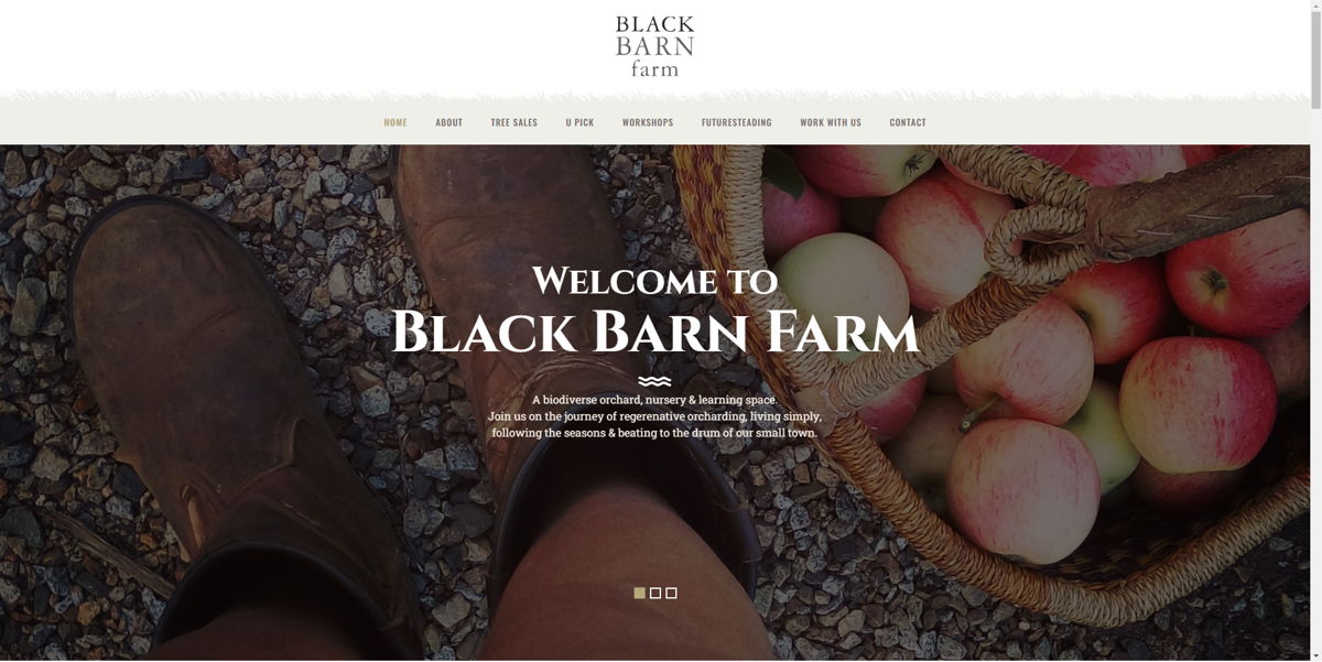 Screenshot of Black Barn Farm, from the farm websites collection.