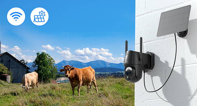 Want The Whole Place Visible?