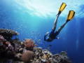 Little Palm Island Resort and Spa scuba diving