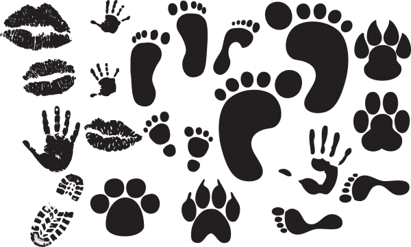 Следы лап, ног, рук, губ — png и векторные форматы
