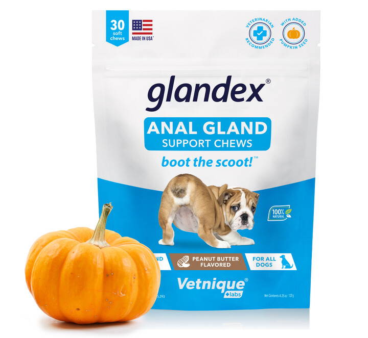 Glandex natural anal gland supplement with pumpkin fiber for dogs and cats