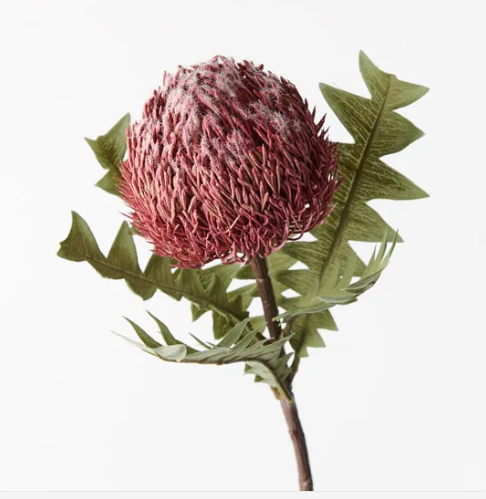 Banksia Baxteri Dusty Pink- Realistic Artificial Flowers - Image 3