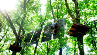 treetree kinder parcour