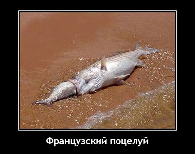 Французский поцелуй.