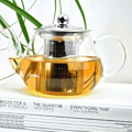 transparent teapot with metal infuser 600ml white background