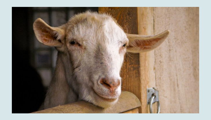 Kindergeburtstag Im Ruhrgebiet