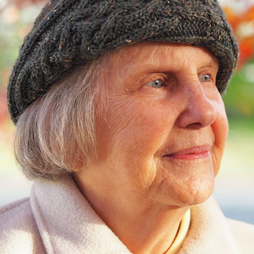 Sherwood Forest Cloche