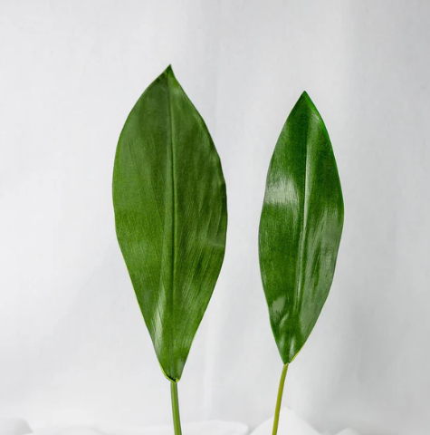 Mini Calla Leaf ( 12 Pack ) - Realistic Artificial Flowers and Greenery - Image 4