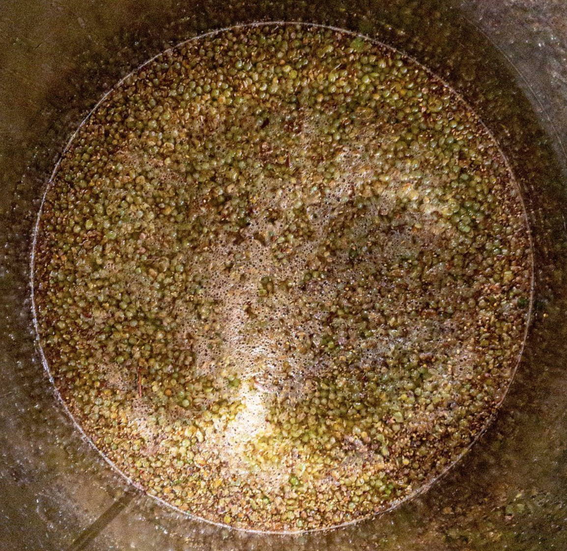 France, vin nature, rawwine, organic wine, vin bio, vin sans intrants, bistro brute, vin rouge, vin blanc, rouge, blanc, nature, vin propre, vigneron, vigneron indépendant, domaine bio, biodynamie, vigneron nature, cave vin naturel, cave vin, caviste, vin biodynamique, bistro brute, Quimper, Finistère , terra vita vinum, anjou, chenin, luc briand, benedicte petit, large soif