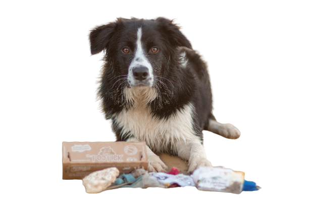 Biologisch abbaubare Hundekotbeutel von PooPick für Deinen Hund