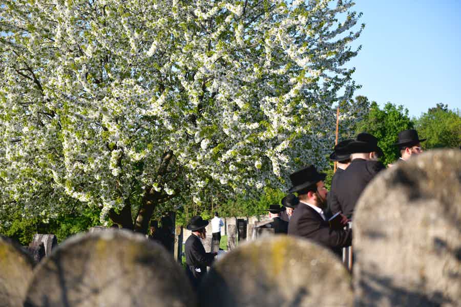 Orthodox Jewish Heritage Route — Transfer Budapest to Kerestir - photo 2