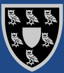 Rodley Cricket Club logo