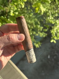 Nice ash