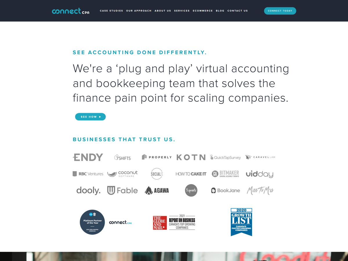Screenshot of ConnectCPA, from the accountant websites collection.