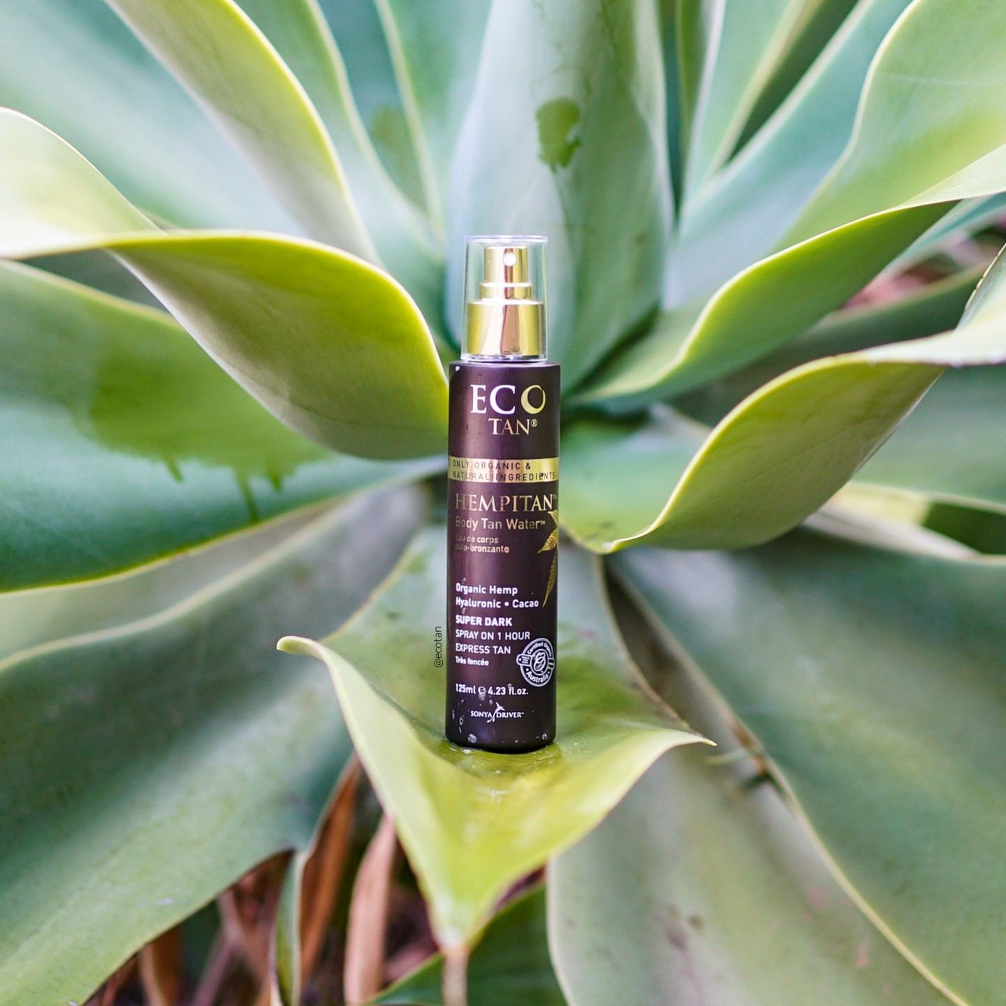 ECO TAN ORGANIC HAMPITAN BODY TAN WATER (Clearance 40% Off)