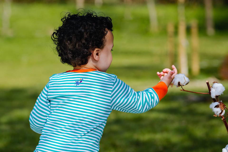 Image of toddler wearing a Ducky Zebra turquoise stripe bodysuit gently touching a cotton plant