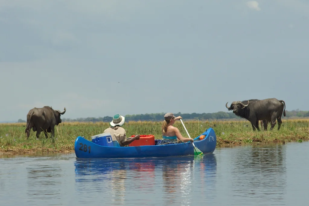6 Day Lower Zambezi 5 In 1 Canoe Safari Trail