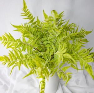 Tuber Fern - Realistic Artificial Flowers and Greenery