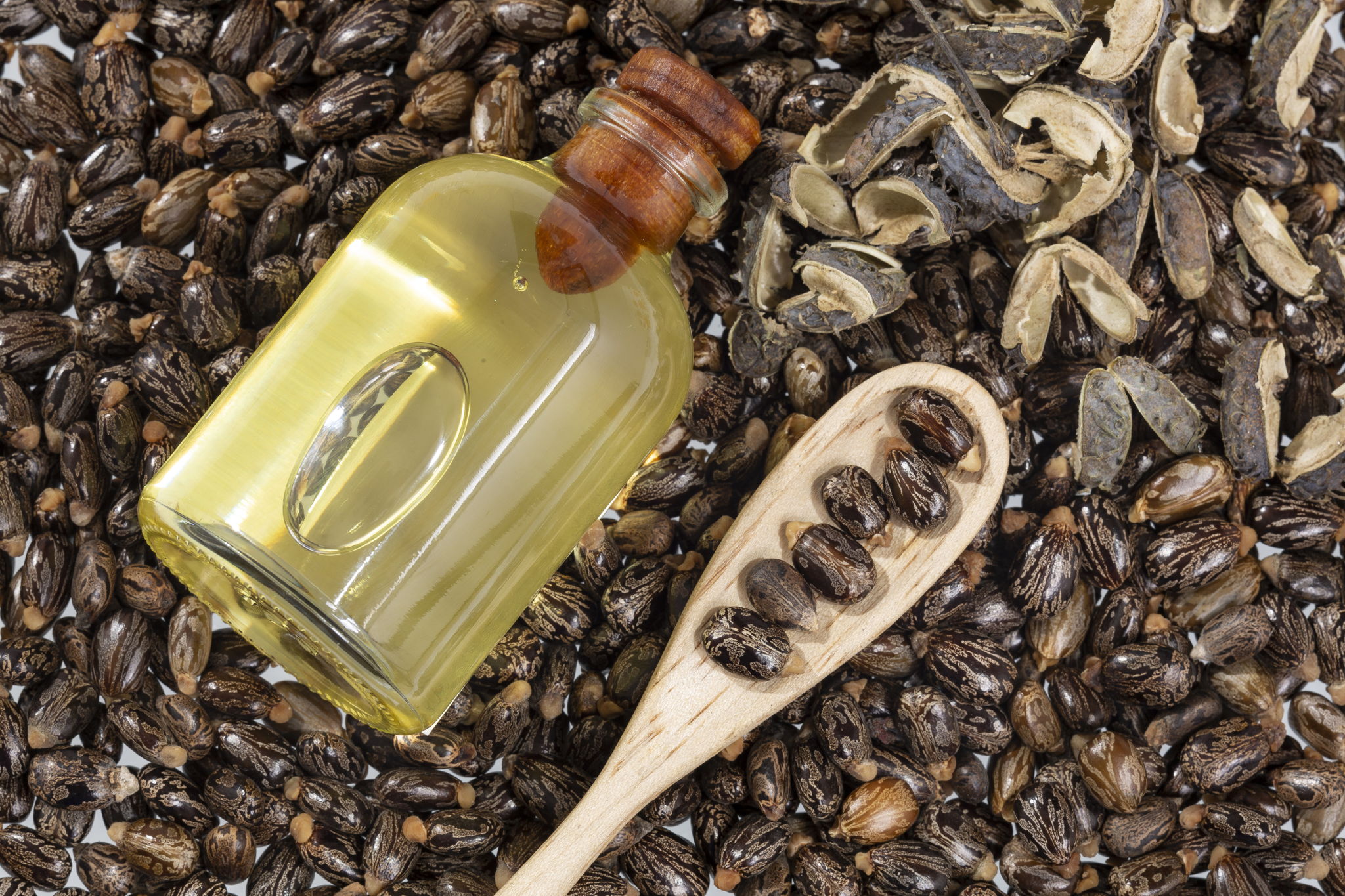 Castor Oil Packs vs Oral Liquid: Which is Better?