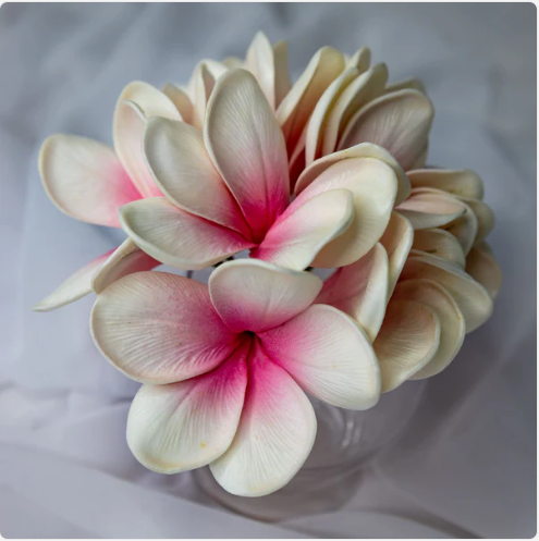 White Pink Frangipani Flowerhead (6 Pack) - Realistic Artificial Flowers - Image 6