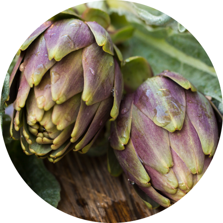 Artichoke Leaf (as Artichoke Leaf Extract)