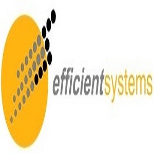 Efficient Systems Pte Ltd
